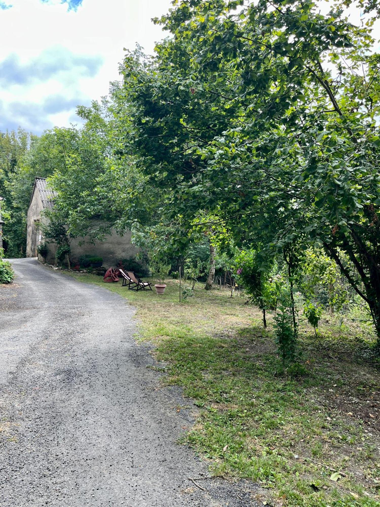 Parenthese En Foret - Lodge Baliveau Le Bez  Exteriör bild