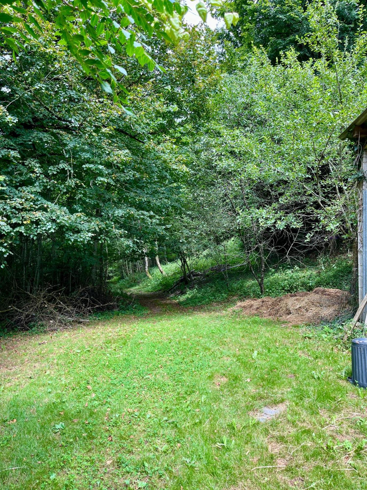 Parenthese En Foret - Lodge Baliveau Le Bez  Exteriör bild